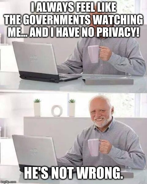 They're always watching | I ALWAYS FEEL LIKE THE GOVERNMENTS WATCHING ME... AND I HAVE NO PRIVACY! HE'S NOT WRONG. | image tagged in memes,hide the pain harold | made w/ Imgflip meme maker