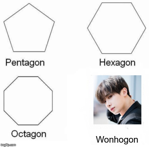 Pentagon Hexagon Octagon | Wonhogon | image tagged in memes,pentagon hexagon octagon | made w/ Imgflip meme maker