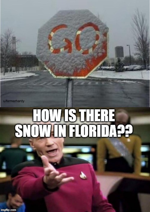 snow in florida | HOW IS THERE SNOW IN FLORIDA?? | image tagged in memes,picard wtf,florida man,stop sign | made w/ Imgflip meme maker