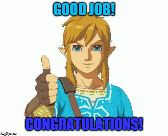 Link Thumbs Up | GOOD JOB! CONGRATULATIONS! | image tagged in link thumbs up | made w/ Imgflip meme maker