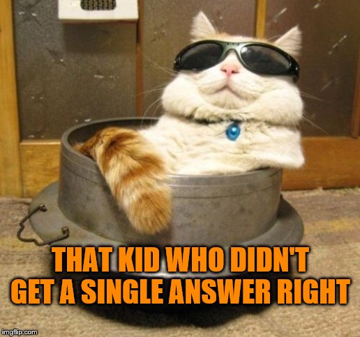 Cool cat | THAT KID WHO DIDN'T GET A SINGLE ANSWER RIGHT | image tagged in cool cat | made w/ Imgflip meme maker