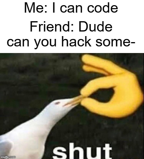 SHUT | Me: I can code; Friend: Dude can you hack some- | image tagged in shut,funny,memes,friends,hacking | made w/ Imgflip meme maker