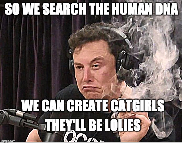 Catgirls | SO WE SEARCH THE HUMAN DNA; WE CAN CREATE CATGIRLS; THEY'LL BE LOLIES | image tagged in elon musk smoking a joint,dank memes | made w/ Imgflip meme maker