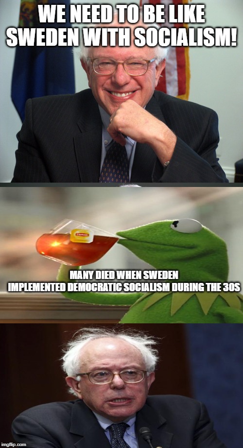 Bad Pun Bernie | WE NEED TO BE LIKE SWEDEN WITH SOCIALISM! MANY DIED WHEN SWEDEN IMPLEMENTED DEMOCRATIC SOCIALISM DURING THE 30S | image tagged in bernie sanders | made w/ Imgflip meme maker