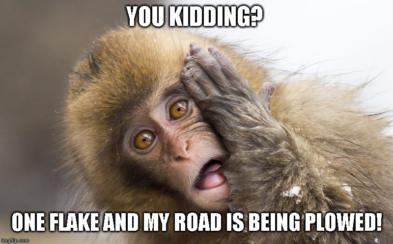 Huh? | YOU KIDDING? ONE FLAKE AND MY ROAD IS BEING PLOWED! | image tagged in huh | made w/ Imgflip meme maker