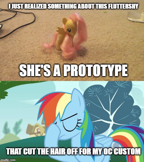 when customizing takes over | I JUST REALIZED SOMETHING ABOUT THIS FLUTTERSHY; SHE'S A PROTOTYPE; THAT CUT THE HAIR OFF FOR MY OC CUSTOM | image tagged in oops,my little pony friendship is magic | made w/ Imgflip meme maker