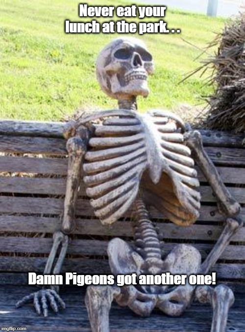 Public Park Hazards | Never eat your lunch at the park. . . Damn Pigeons got another one! | image tagged in memes,waiting skeleton,dangerous animals,pigeon,public service announcement | made w/ Imgflip meme maker