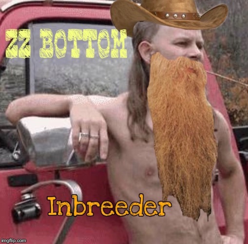 Not dressed man | image tagged in zz top,inbred,redneck,classic rock,funny memes | made w/ Imgflip meme maker