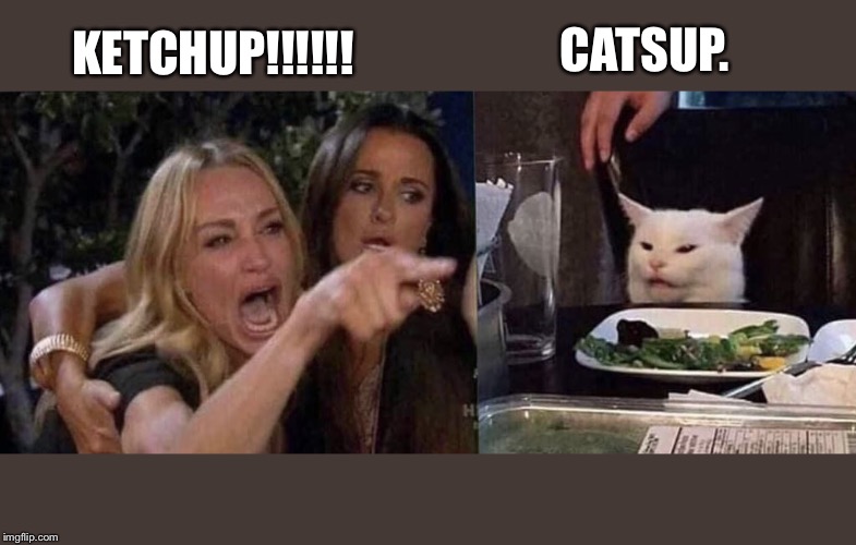 woman yelling at cat | CATSUP. KETCHUP!!!!!! | image tagged in woman yelling at cat | made w/ Imgflip meme maker