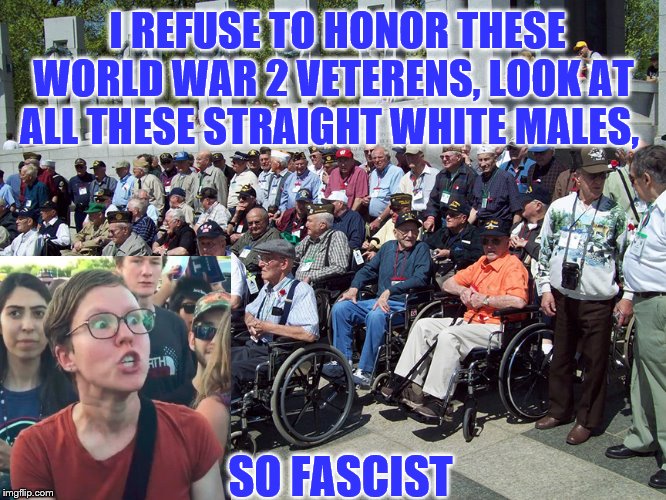 WW2 Veterans | I REFUSE TO HONOR THESE WORLD WAR 2 VETERENS, LOOK AT ALL THESE STRAIGHT WHITE MALES, SO FASCIST | image tagged in ww2 veterans | made w/ Imgflip meme maker