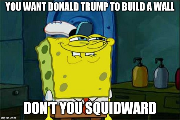 Don't You Squidward | YOU WANT DONALD TRUMP TO BUILD A WALL; DON'T YOU SQUIDWARD | image tagged in memes,dont you squidward | made w/ Imgflip meme maker