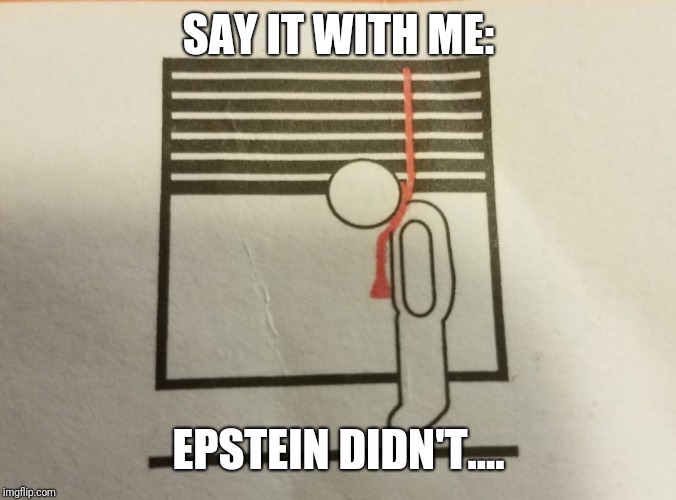 SAY IT WITH ME:; EPSTEIN DIDN'T.... | image tagged in jeffrey epstein | made w/ Imgflip meme maker