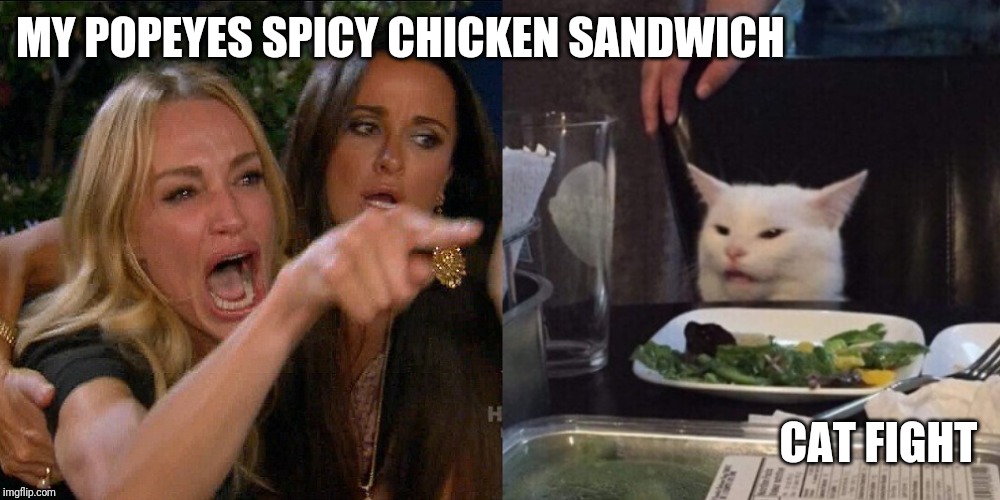 Woman yelling at cat | MY POPEYES SPICY CHICKEN SANDWICH; CAT FIGHT | image tagged in woman yelling at cat | made w/ Imgflip meme maker