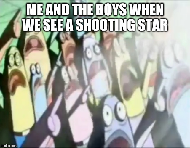 ME AND THE BOYS WHEN WE SEE A SHOOTING STAR | image tagged in bald | made w/ Imgflip meme maker
