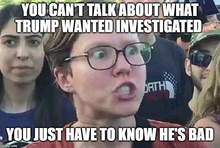 Orangey baddy | YOU CAN'T TALK ABOUT WHAT TRUMP WANTED INVESTIGATED; YOU JUST HAVE TO KNOW HE'S BAD | image tagged in triggered liberal | made w/ Imgflip meme maker