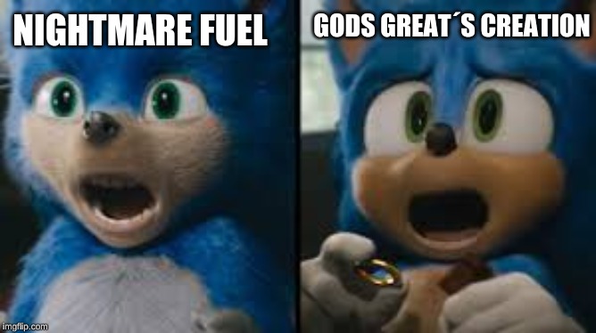 :) | GODS GREAT´S CREATION; NIGHTMARE FUEL | image tagged in sonic movie,new design,before and after | made w/ Imgflip meme maker