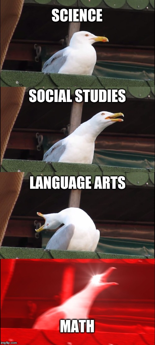 Inhaling Seagull | SCIENCE; SOCIAL STUDIES; LANGUAGE ARTS; MATH | image tagged in memes,inhaling seagull | made w/ Imgflip meme maker