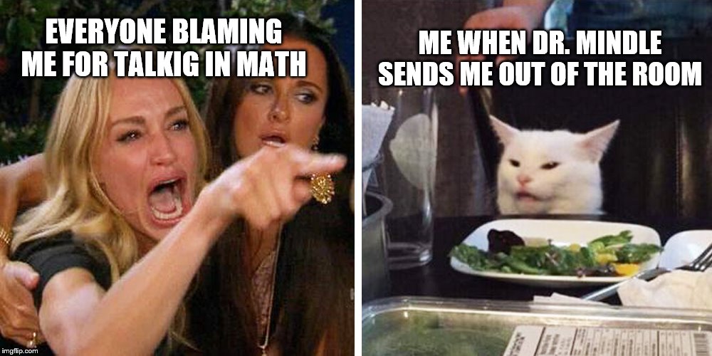 EVERYONE BLAMING ME FOR TALKIG IN MATH; ME WHEN DR. MINDLE SENDS ME OUT OF THE ROOM | image tagged in funny | made w/ Imgflip meme maker