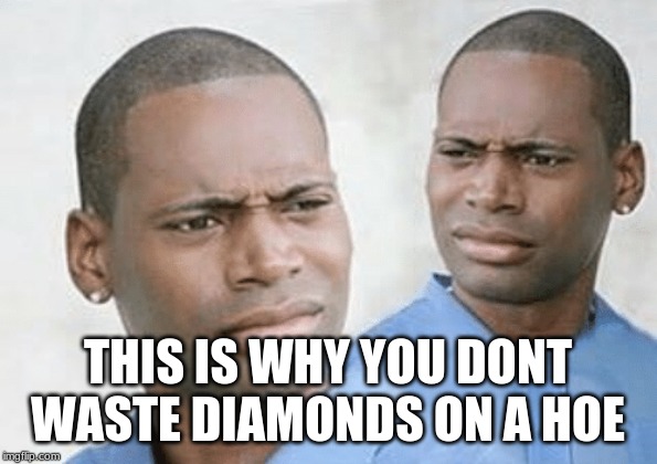 Cmon Bruh | THIS IS WHY YOU DONT WASTE DIAMONDS ON A HOE | image tagged in cmon bruh | made w/ Imgflip meme maker