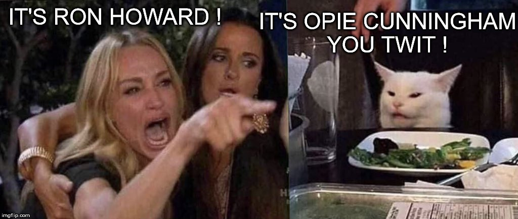 woman yelling at cat | IT'S OPIE CUNNINGHAM
YOU TWIT ! IT'S RON HOWARD ! | image tagged in woman yelling at cat | made w/ Imgflip meme maker