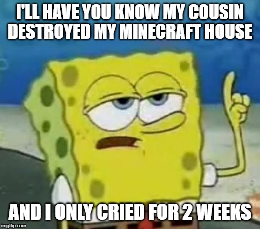 I'll Have You Know Spongebob | I'LL HAVE YOU KNOW MY COUSIN DESTROYED MY MINECRAFT HOUSE; AND I ONLY CRIED FOR 2 WEEKS | image tagged in memes,ill have you know spongebob | made w/ Imgflip meme maker