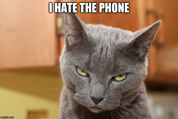 Try Me | I HATE THE PHONE | image tagged in try me | made w/ Imgflip meme maker