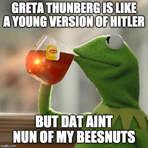 But That's None Of My Business | GRETA THUNBERG IS LIKE A YOUNG VERSION OF HITLER; BUT DAT AINT NUN OF MY BEESNUTS | image tagged in memes,but thats none of my business,kermit the frog | made w/ Imgflip meme maker