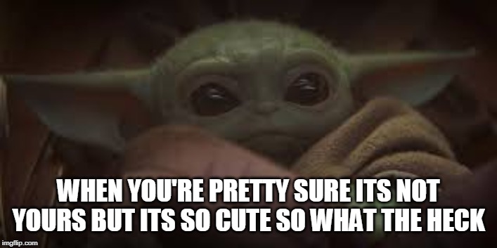 YOU ARE NOT THE FATHER | WHEN YOU'RE PRETTY SURE ITS NOT YOURS BUT ITS SO CUTE SO WHAT THE HECK | image tagged in yoda baby,maury lie detector,star wars yoda,star wars,jedi,baby | made w/ Imgflip meme maker
