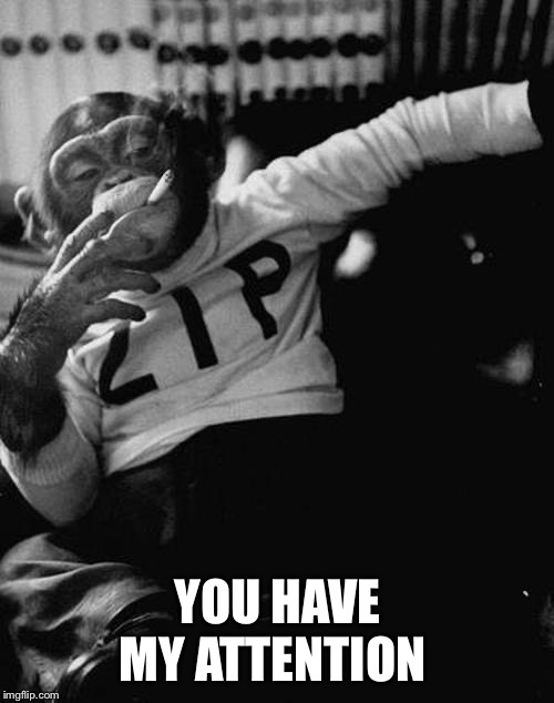 smoking monkey  | YOU HAVE MY ATTENTION | image tagged in smoking monkey | made w/ Imgflip meme maker