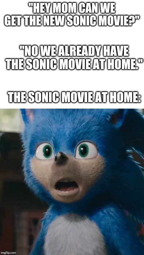 "HEY MOM CAN WE GET THE NEW SONIC MOVIE?"; "NO WE ALREADY HAVE THE SONIC MOVIE AT HOME."; THE SONIC MOVIE AT HOME: | image tagged in blank white template,sonic movie | made w/ Imgflip meme maker