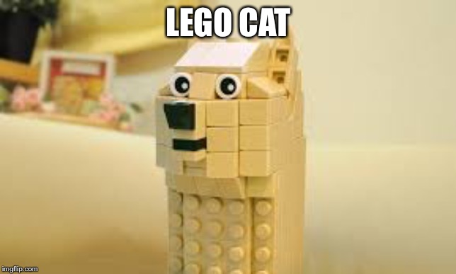lego doge |  LEGO CAT | image tagged in lego doge | made w/ Imgflip meme maker