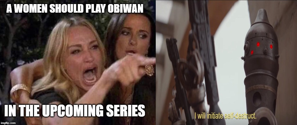 woman yelling at cat | A WOMEN SHOULD PLAY OBIWAN; IN THE UPCOMING SERIES | image tagged in woman yelling at cat | made w/ Imgflip meme maker