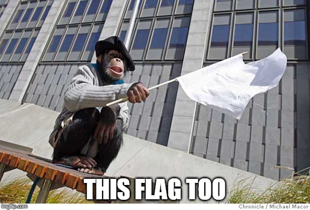 Surrender Monkey | THIS FLAG TOO | image tagged in surrender monkey | made w/ Imgflip meme maker