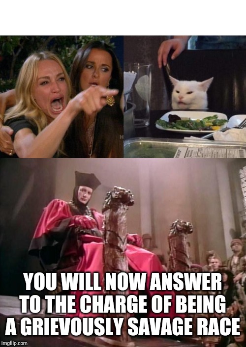 YOU WILL NOW ANSWER TO THE CHARGE OF BEING A GRIEVOUSLY SAVAGE RACE | image tagged in q star trek,memes,woman yelling at cat | made w/ Imgflip meme maker