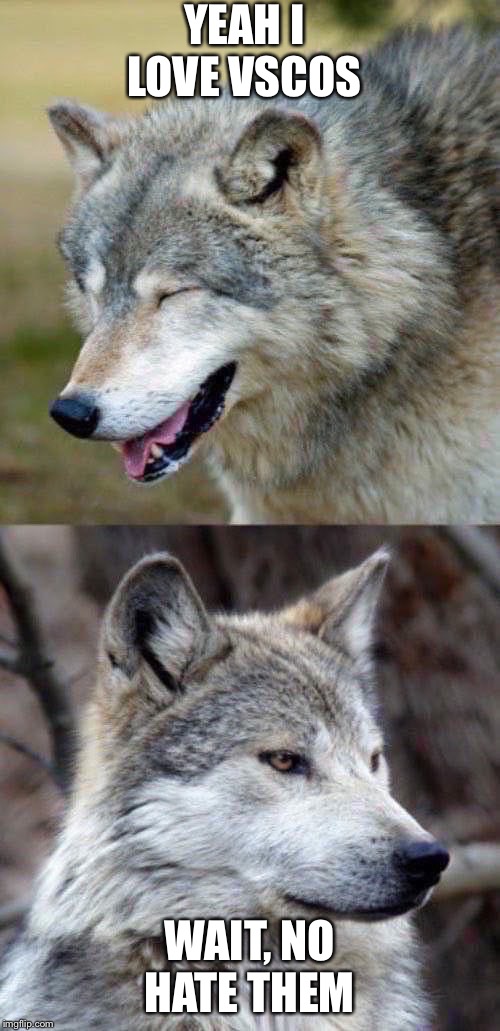 haha-no-wolf | YEAH I LOVE VSCOS; WAIT, NO HATE THEM | image tagged in haha-no-wolf | made w/ Imgflip meme maker