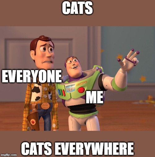 X, X Everywhere | CATS; EVERYONE; ME; CATS EVERYWHERE | image tagged in memes,x x everywhere | made w/ Imgflip meme maker