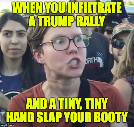 Triggered feminist | WHEN YOU INFILTRATE
A TRUMP RALLY; AND A TINY, TINY HAND SLAP YOUR BOOTY | image tagged in triggered feminist,memes,trump rally,groper in chief | made w/ Imgflip meme maker