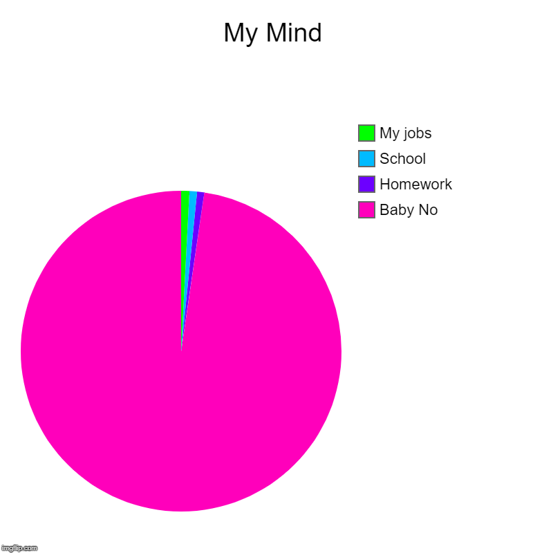 My Mind | Baby No, Homework, School, My jobs | image tagged in charts,pie charts | made w/ Imgflip chart maker