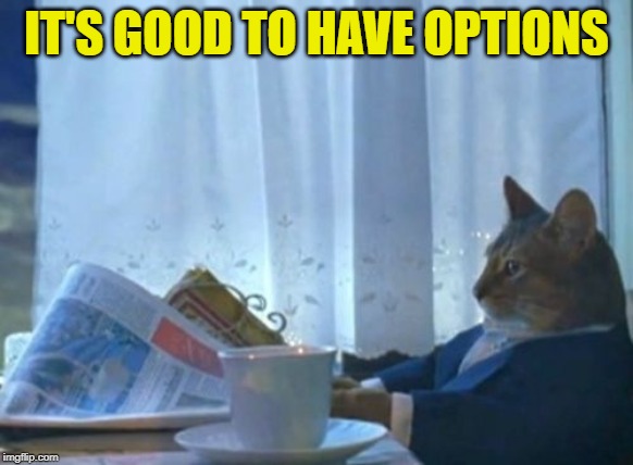 I Should Buy A Boat Cat Meme | IT'S GOOD TO HAVE OPTIONS | image tagged in memes,i should buy a boat cat | made w/ Imgflip meme maker
