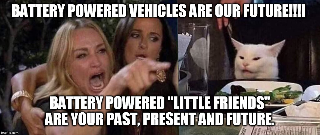 woman yelling at cat | BATTERY POWERED VEHICLES ARE OUR FUTURE!!!! BATTERY POWERED "LITTLE FRIENDS" ARE YOUR PAST, PRESENT AND FUTURE. | image tagged in woman yelling at cat | made w/ Imgflip meme maker