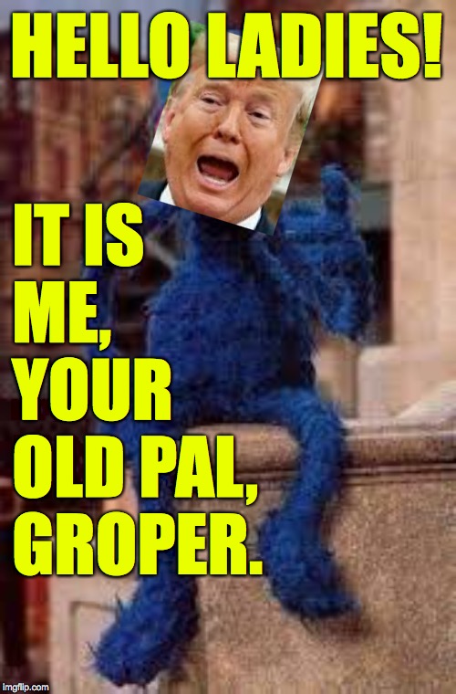 Monsters Inaugurated. | HELLO LADIES! IT IS
ME,
YOUR
OLD PAL,
GROPER. | image tagged in grover,memes,trump,groper in chief,monsters inaugurated,gynecologist trump | made w/ Imgflip meme maker