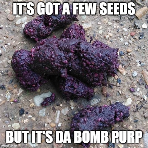 Bomb Purp | IT'S GOT A FEW SEEDS; BUT IT'S DA BOMB PURP | image tagged in mmj,cannabis,420,burn one | made w/ Imgflip meme maker
