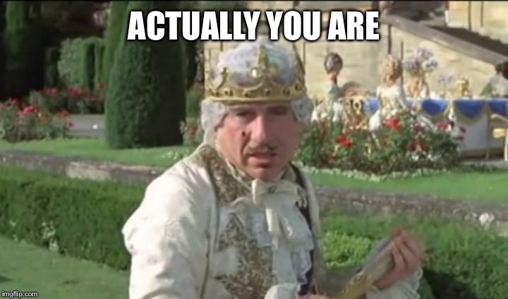 Mel Brooks good to be the king | ACTUALLY YOU ARE | image tagged in mel brooks good to be the king | made w/ Imgflip meme maker