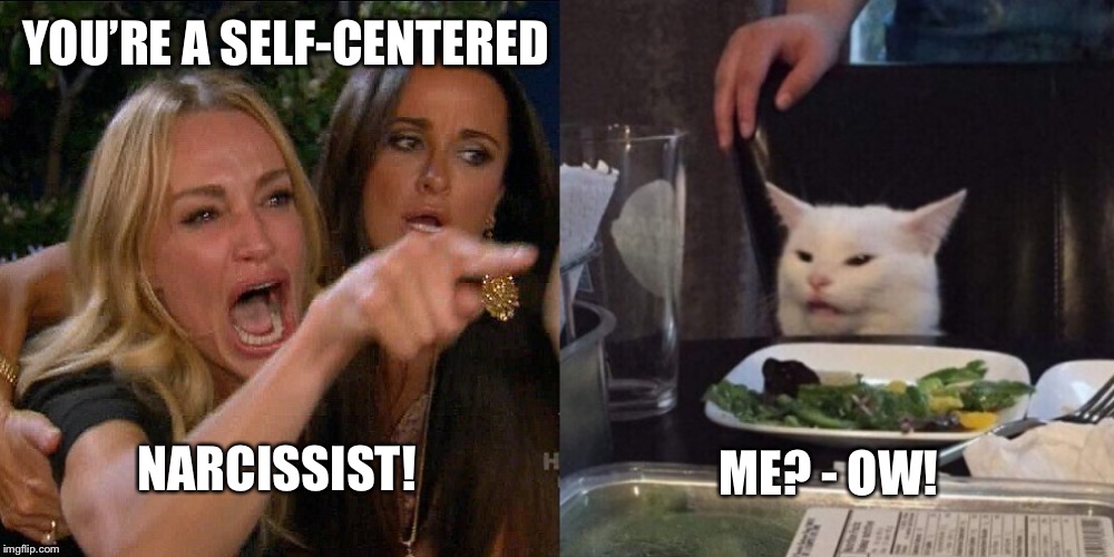 Battle of the Interspecies Sexes | YOU’RE A SELF-CENTERED; NARCISSIST! ME? - OW! | image tagged in selfish,narcissist,meow | made w/ Imgflip meme maker