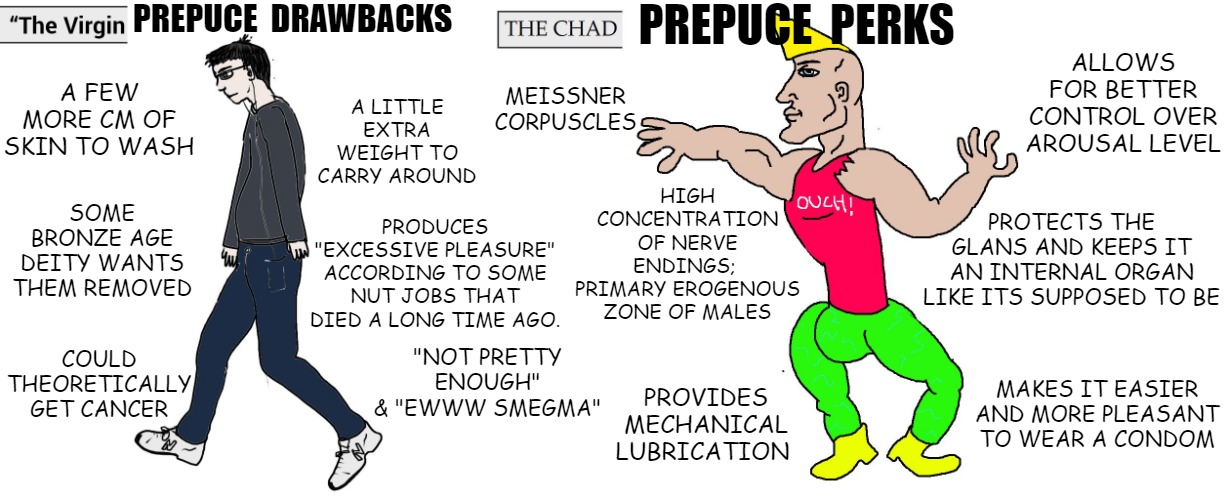 Virgin and Chad | PREPUCE  DRAWBACKS; PREPUCE  PERKS; ALLOWS FOR BETTER CONTROL OVER AROUSAL LEVEL; A LITTLE EXTRA WEIGHT TO CARRY AROUND; A FEW MORE CM OF SKIN TO WASH; MEISSNER CORPUSCLES; HIGH CONCENTRATION OF NERVE ENDINGS; 
PRIMARY EROGENOUS ZONE OF MALES; SOME BRONZE AGE DEITY WANTS THEM REMOVED; PROTECTS THE GLANS AND KEEPS IT AN INTERNAL ORGAN LIKE ITS SUPPOSED TO BE; PRODUCES "EXCESSIVE PLEASURE" ACCORDING TO SOME NUT JOBS THAT DIED A LONG TIME AGO. COULD THEORETICALLY GET CANCER; "NOT PRETTY ENOUGH" & "EWWW SMEGMA"; MAKES IT EASIER AND MORE PLEASANT TO WEAR A CONDOM; PROVIDES MECHANICAL LUBRICATION | image tagged in virgin and chad | made w/ Imgflip meme maker