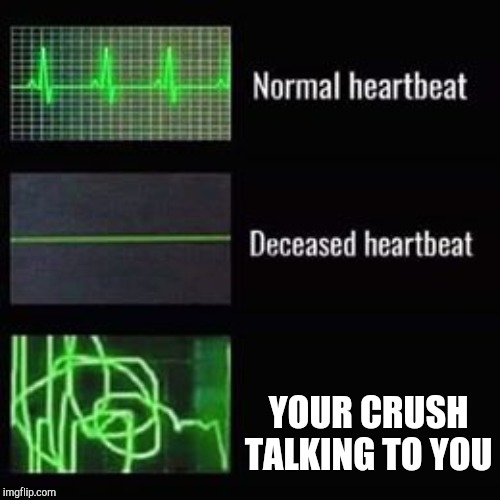 heartbeat rate | YOUR CRUSH TALKING TO YOU | image tagged in heartbeat rate | made w/ Imgflip meme maker