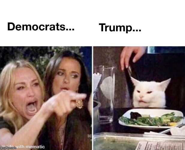 image tagged in cat,trump | made w/ Imgflip meme maker