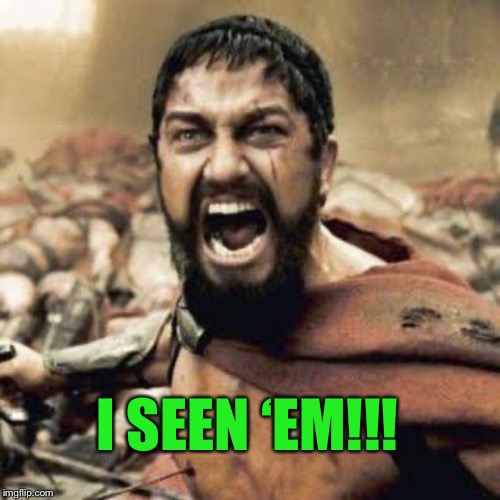 THIS IS SPARTA!!!! | I SEEN ‘EM!!! | image tagged in this is sparta | made w/ Imgflip meme maker