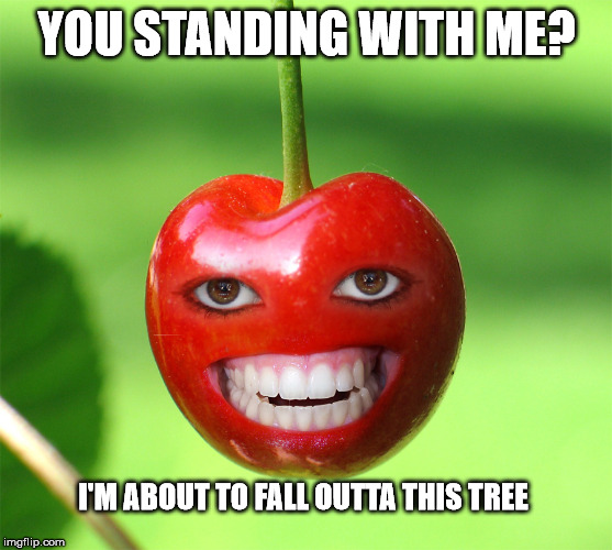 Don who? | YOU STANDING WITH ME? I'M ABOUT TO FALL OUTTA THIS TREE | image tagged in don cherry,meanwhile in canada | made w/ Imgflip meme maker