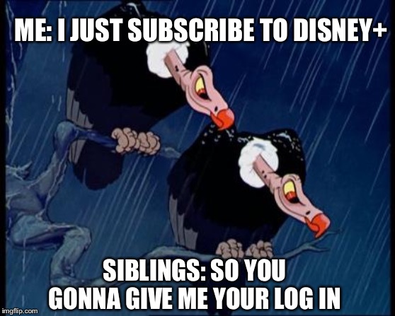 Disney Cartoon Vulture | ME: I JUST SUBSCRIBE TO DISNEY+; SIBLINGS: SO YOU GONNA GIVE ME YOUR LOG IN | image tagged in disney cartoon vulture | made w/ Imgflip meme maker